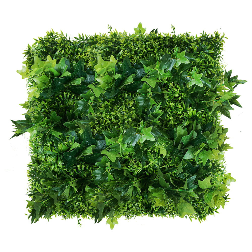 Mur végétal Hedera 50x50cm · 50 × 50 cm