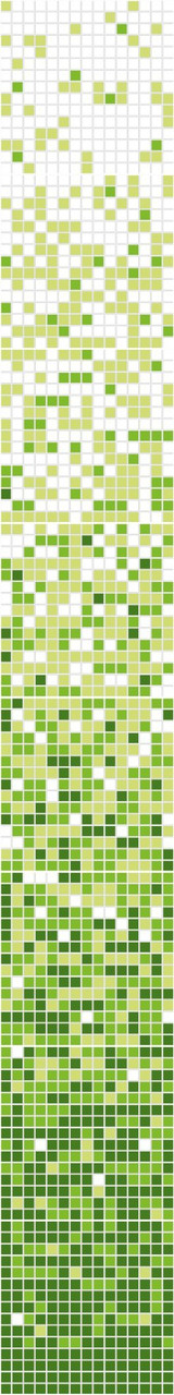Mosaïque Vert Q Series
