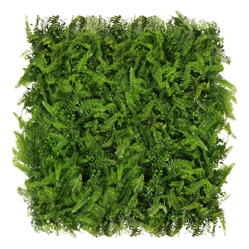 Mur végétal Paprotnik 50x50 cm - Détail du feuillage réaliste Mur végétal Paprotnik 50x50 cm - Détail du feuillage réaliste