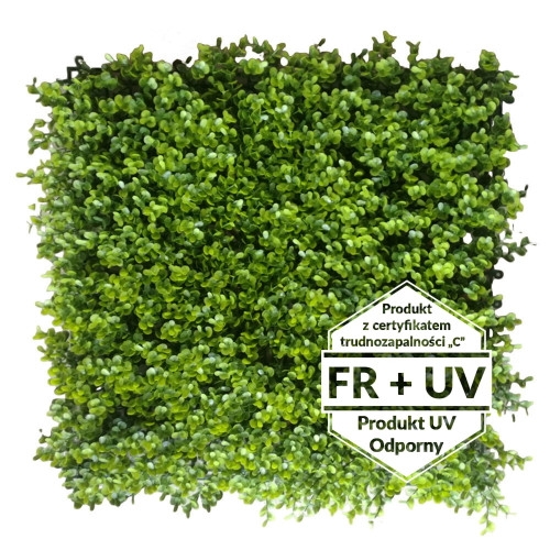 Tapis vert artificiel Borówka FR UV 50x50 cm - vue face, détail texture réaliste Tapis vert artificiel Borówka FR UV 50x50 cm - vue face, détail texture réaliste