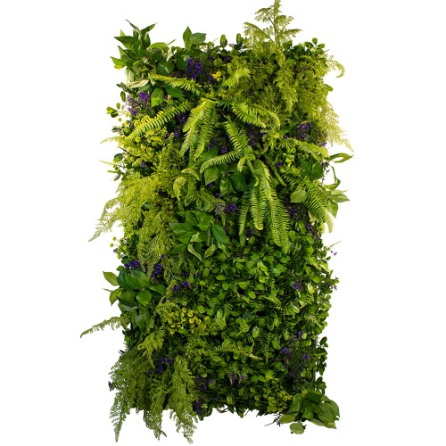 Jardin vertical Secret Garden 50x100 cm, design naturel et épuré Jardin vertical Secret Garden 50x100 cm, design naturel et épuré