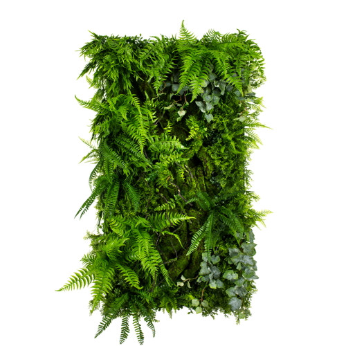 Jardin vertical Leafy Frond 50x100 cm, design naturel et épuré Jardin vertical Leafy Frond 50x100 cm, design naturel et épuré