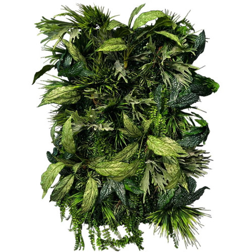 Jardin vertical Flora Twist 50x100 cm, design moderne et végétal luxuriant Jardin vertical Flora Twist 50x100 cm, design moderne et végétal luxuriant