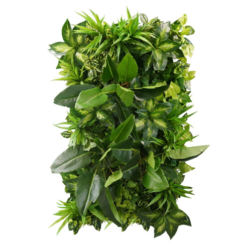 Jardin vertical Tropical Freshness 50x100 cm, design moderne et végétal luxuriant Jardin vertical Tropical Freshness 50x100 cm, design moderne et végétal luxuriant