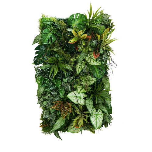 Jardin vertical Mayan Ray 50x100 cm, design épuré et végétal luxuriant