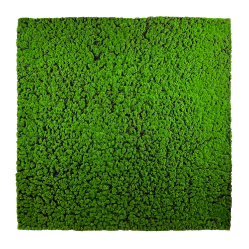 Mousse synthétique Chrobotek 100x100 cm, texture fine et uniforme. Mousse synthétique Chrobotek 100x100 cm, texture fine et uniforme.