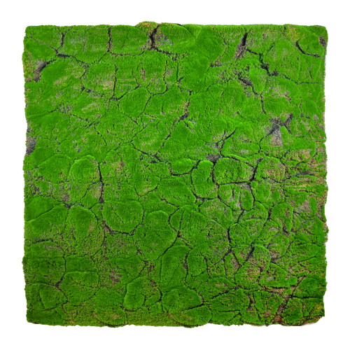 Mousse artificielle tourbière 100x100 cm, texture naturelle et réaliste Mousse artificielle tourbière 100x100 cm, texture naturelle et réaliste