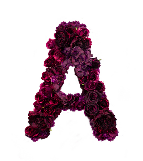 Litera z roz – elegancki wzór w kolorze różowym Litera z roz – elegancki wzór w kolorze różowym