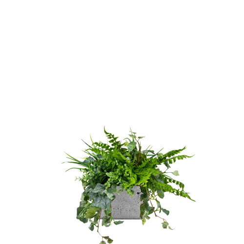 Support à fleurs Seagul en métal, design moderne et élégant Support à fleurs Seagul en métal, design moderne et élégant