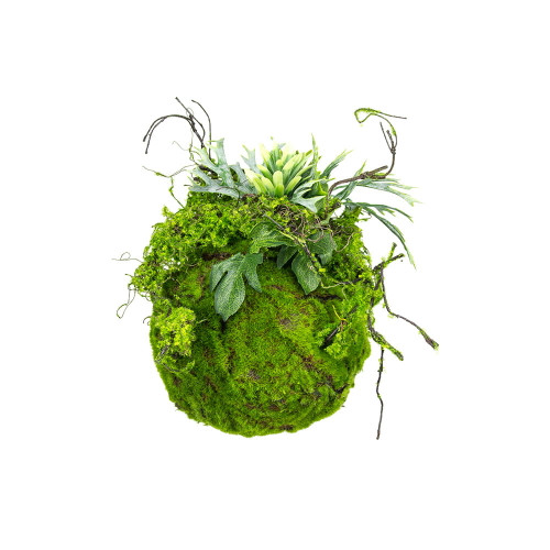 Boule de mousse Kokedama 25 cm, design naturel en mousse végétale