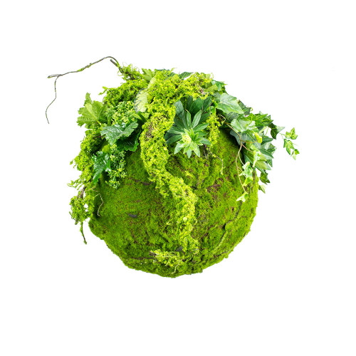 Boule de mousse Kokedama 35 cm, design suspendu en mousse naturelle et mousse végétale.