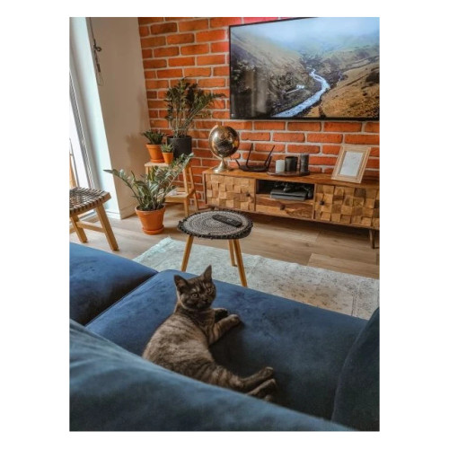 Brique naturelle ancienne, vue en détail, joints irréguliers et patine vieillie caractéristique.