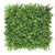 Mur vert Fumaria 50x50 cm – Design naturel en mousse végétale durable Mur vert Fumaria 50x50 cm – Design naturel en mousse végétale durable