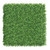 Mur végétal Tuja 50x50 cm - Matériau synthétique résistant Mur végétal Tuja 50x50 cm - Matériau synthétique résistant