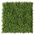 Matériel végétal Peperomia 50x50 cm, texture réaliste et détaillée Matériel végétal Peperomia 50x50 cm, texture réaliste et détaillée