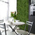 Mur végétal Peperomia 50x50 cm, installation murale stylisée et vivante Mur végétal Peperomia 50x50 cm, installation murale stylisée et vivante