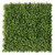 Mur végétal Peperomia 50x50 cm - Vue de face mat Mur végétal Peperomia 50x50 cm - Vue de face mat