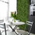 Mur végétal Peperomia 50x50 cm - Intégration murale stylisée Mur végétal Peperomia 50x50 cm - Intégration murale stylisée