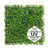 Tapis vert artificiel Rzęsa UV 50x50 cm, détail du motif réaliste Tapis vert artificiel Rzęsa UV 50x50 cm, détail du motif réaliste