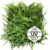 Mata Adiantum UV 50x50 cm – Effet réaliste, idéale pour décoration murale Mata Adiantum UV 50x50 cm – Effet réaliste, idéale pour décoration murale