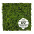 Tapis vert artificiel cyprès UV 50x50 cm - Détail réaliste Tapis vert artificiel cyprès UV 50x50 cm - Détail réaliste