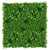 Mur végétal succulent 100x100 cm – Grand format pour un impact visuel accru Mur végétal succulent 100x100 cm – Grand format pour un impact visuel accru