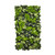 Jardin vertical Little Green 50x100 cm, design compact et moderne pour espaces intérieurs Jardin vertical Little Green 50x100 cm, design compact et moderne pour espaces intérieurs