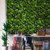 Jardin vertical Little Green - Design moderne et compact Jardin vertical Little Green - Design moderne et compact