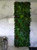 Jardin vertical Botanic Bush - Détail des panneaux végétaux modulaires Jardin vertical Botanic Bush - Détail des panneaux végétaux modulaires