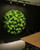 Moss Mesh – modułowy system do tworzenia zielonych ścian z naturalnym mchem.