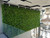 Jardin vertical Jungle Heart - Détail des plantes et structure modulaire Jardin vertical Jungle Heart - Détail des plantes et structure modulaire