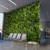 Visualisation du jardin vertical Green Ivy intégré dans un espace contemporain Visualisation du jardin vertical Green Ivy intégré dans un espace contemporain