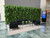 Jardin vertical Green Ivy en détail, plantes luxuriantes Jardin vertical Green Ivy en détail, plantes luxuriantes