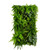 Jardin vertical Leafy Frond 50x100 cm, design naturel et épuré Jardin vertical Leafy Frond 50x100 cm, design naturel et épuré