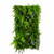 Jardin vertical Leafy Frond 50x100 cm, design naturel et moderne Jardin vertical Leafy Frond 50x100 cm, design naturel et moderne