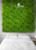 Mur végétal Estragon 50x50 cm - Détail feuillage dense et réaliste Mur végétal Estragon 50x50 cm - Détail feuillage dense et réaliste