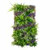 Jardin vertical Provence 50x100 cm, design élégant et naturel Jardin vertical Provence 50x100 cm, design élégant et naturel