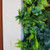 Réalisation mur végétal Essence FR UV dans intérieur contemporain Réalisation mur végétal Essence FR UV dans intérieur contemporain