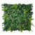Jardin vertical Fresh Stems FR UV 50x50 cm, design moderne et naturel Jardin vertical Fresh Stems FR UV 50x50 cm, design moderne et naturel