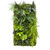 Jardin vertical Tropical Vibe – panneau végétal décoratif aux tons exotiques Jardin vertical Tropical Vibe – panneau végétal décoratif aux tons exotiques
