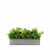 Insert pour pot de fleurs Fresh Rain - Version compacte et légère pour intérieur Insert pour pot de fleurs Fresh Rain - Version compacte et légère pour intérieur