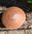 Vue détaillée du champignon décoratif, texture réaliste et finition mate.