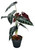 Plante artificielle Alocasia 47 cm, vue frontale détaillée