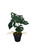 Plante Monstera artificielle 39 cm en pot décoratif, vue globale.