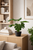 Monstera artificielle 43 cm en décor intérieur moderne, ambiance lumineuse.