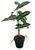 Plante artificielle Alocasia Amazonica 58 cm – Vue latérale, mise en scène décorative intérieure