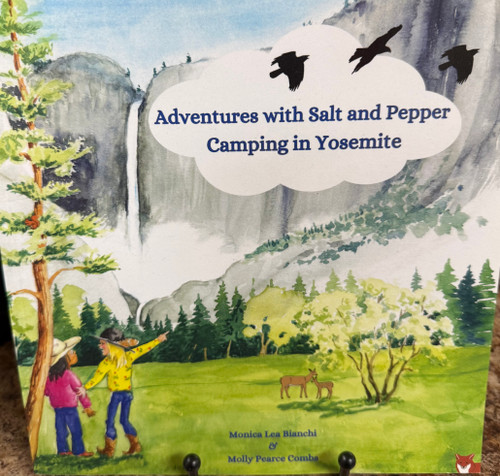 Camping in Yosemite