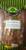 Peanut brittle 8oz - no box