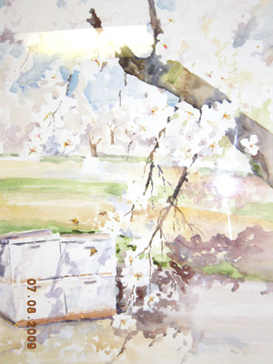 Bee Boxes by Sharleen Robson
