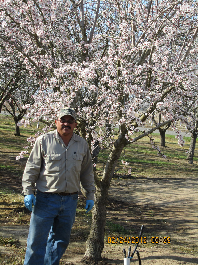 Joaquin Oseguera